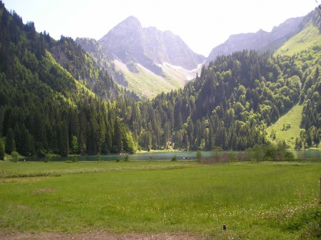 Petite balade ( dans l'herbe )